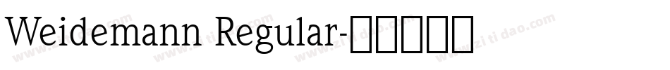 Weidemann Regular字体转换